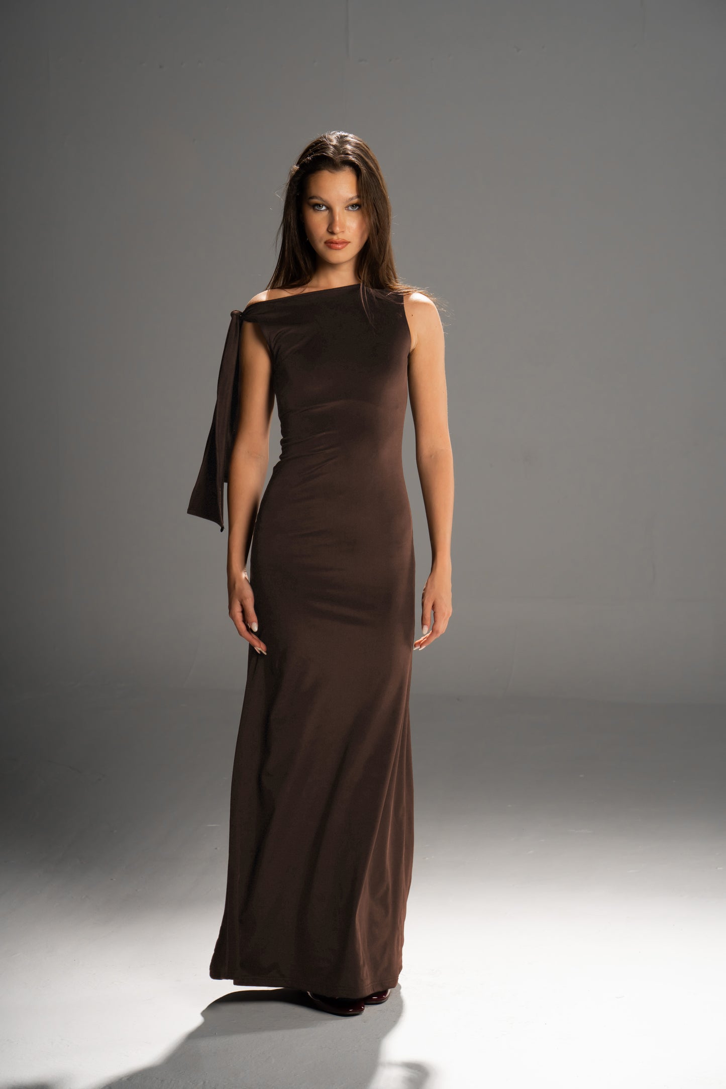 Amelie Dress (Brown)